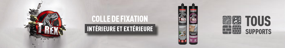 T-Rex bannière intérieur et extérieur
