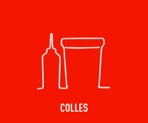 COLLE