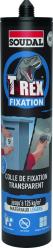 T-Rex Fixation Transparent