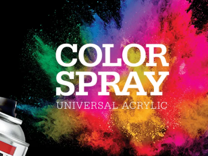 Color Spray peinture en aérosol