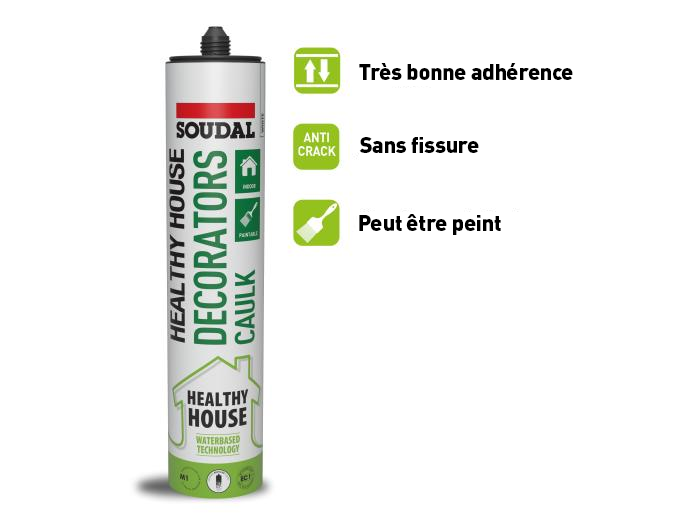 Healthy house - Mastic peintre