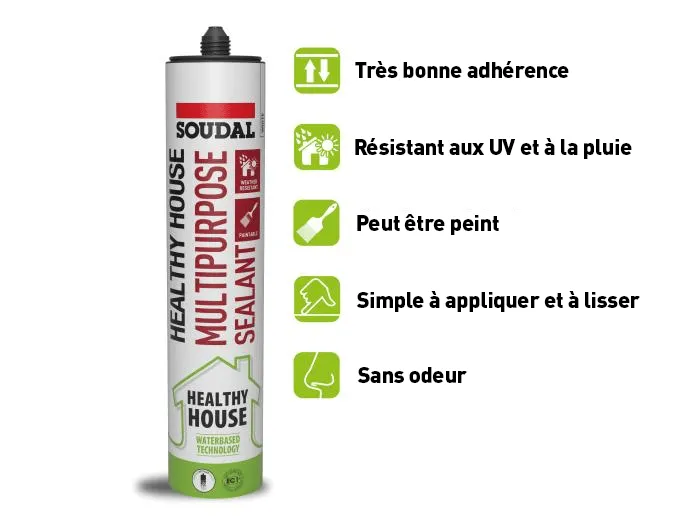 Healthy house - Mastic polyvalent