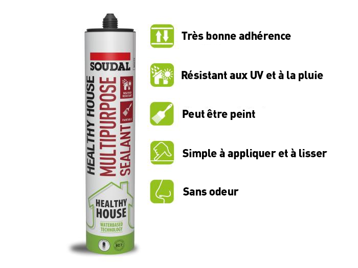 Healthy house - Mastic multi-usage