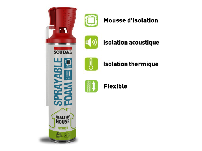 Healthy house - Mousse pulvérisable